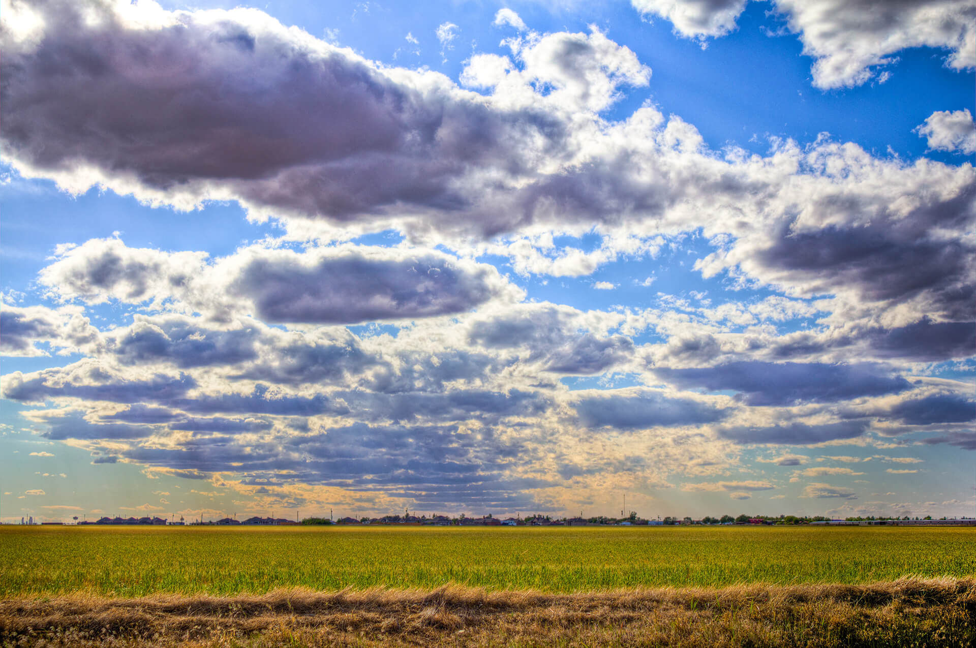 Dallas Open Field and Clouds
